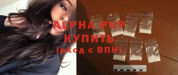 индика Губаха