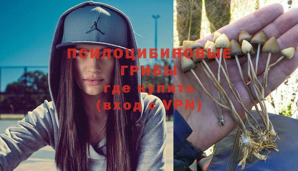 мяу мяу мука Михайловск