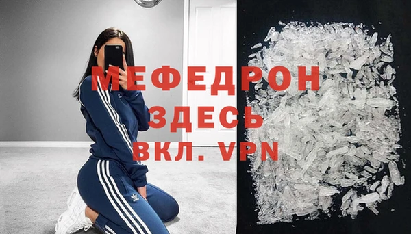 индика Губаха