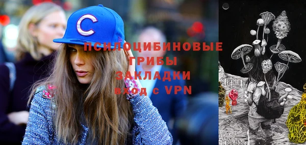 мяу мяу мука Михайловск
