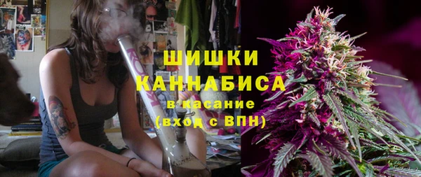 сатива Михайловка