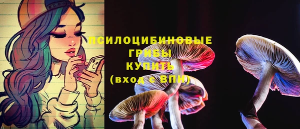 мяу мяу мука Михайловск