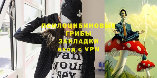 ешки Надым