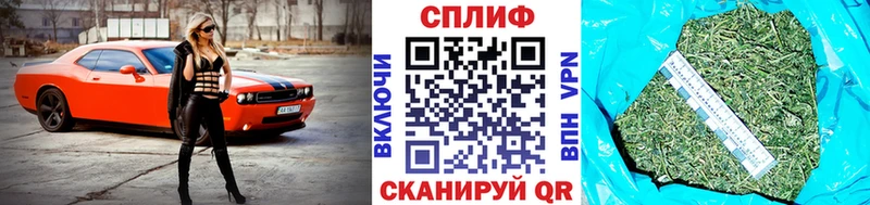 Конопля гибрид  сколько стоит  Мончегорск 
